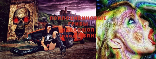гидропоника Кукмор