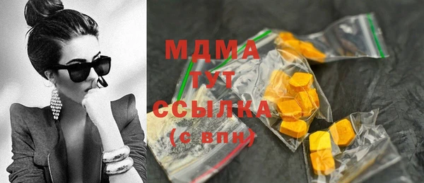 ГАЛЛЮЦИНОГЕННЫЕ ГРИБЫ Лагань