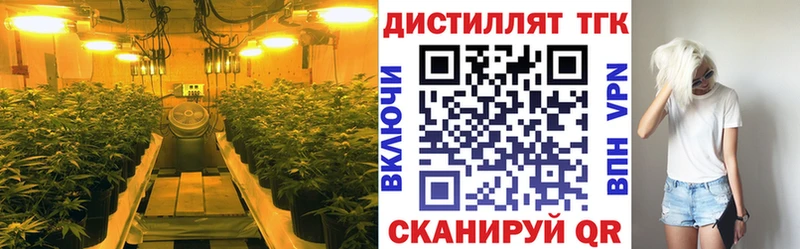 Дистиллят ТГК гашишное масло  Купить закладки  Находка 