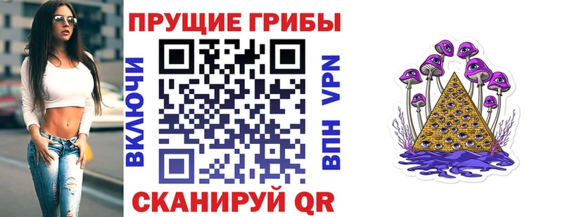 Галлюциногенные грибы GOLDEN TEACHER  Купить где  Находка 